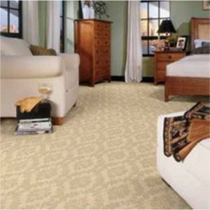 domestic carpet cleaning